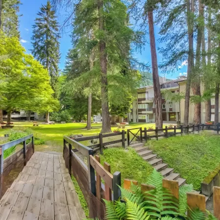 Comfort Tra Fiume E Pini - Happy Rentals