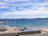 Les Dauphins