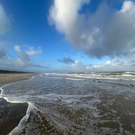 4 Star Holiday Home in Vejers Strand