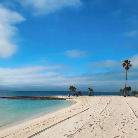 Fall & Winter Specials! 5 Bdrm 5 Bath,Elevator, Private Pool,Dock, Walk to Beach