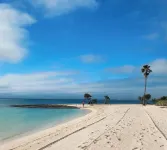 Fall & Winter Specials! 5 Bdrm 5 Bath,Elevator, Private Pool,Dock, Walk to Beach - Villas