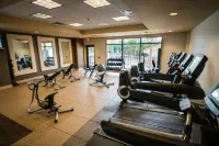 Hilton St. Petersburg Carillon Park - Gym