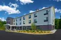 哈德利阿默斯特 TownePlace Suites 酒店 - Wi-Fi