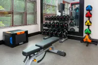 Homewood Suites by Hilton Boston/Canton - Gym