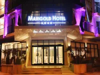 Marigold Hotel - bar