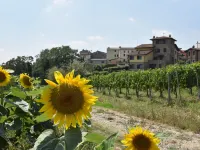 La Corte Bricca (Bilo A)