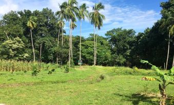 House with 2 Bedrooms in Santa Cruz, with Wonderful Mountain View and Furnished Garden