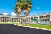 Quality Inn Albany Hotels in Albany