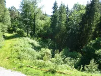 Leubach Hotels in Wolfach