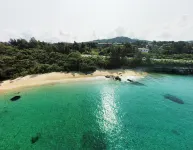DUO ‧ OKINAWA - Küvet