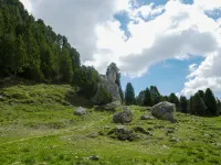 Rustico Dolomia - Homestays