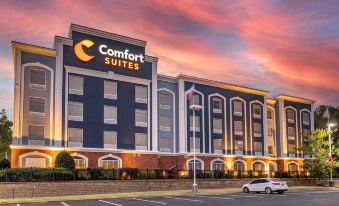 Comfort Suites Olive Branch - Memphis South