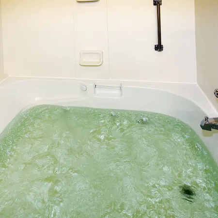 Holiday Inn Express Hotel & Suites Cullman, an IHG Hotel