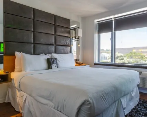 Hotel BPM Brooklyn Hotels near Brooklyn Flea