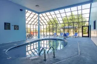 Comfort Suites Knoxville Airport - Pools
