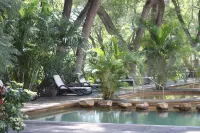Hotel Agua Blanca - Горячие источники