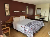 Red Roof Inn Virginia Beach - Norfolk Airport Hotels in Virginia Beach