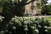 Villa Doria il Torrione Hotels in Vigone
