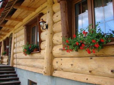 a wooden house with red flowers growing in front of the windows , creating a warm and inviting atmosphere at Troll