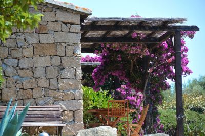Garden Residence Alba Rossa Photo