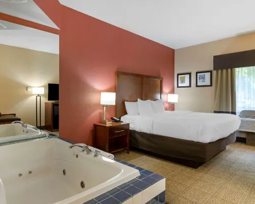 Comfort Inn & Suites Jackson North Hotels in Blackman