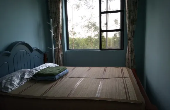 白鷺湖原始森林氧吧屋公寓（振興巷分店）