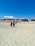 Hotel Araur Hotels in Marseillan