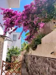 Hotel Villa Cecilia