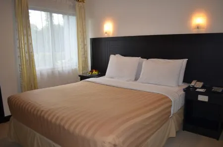 Hotel Palm