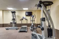 Monte Carlo Inn & Suites Downtown Markham - Gym