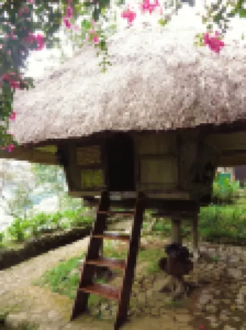 Native Village Inn Hotels in Banaue