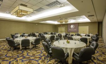 DoubleTree by Hilton Chicago O'Hare Airport-Rosemont