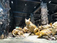 Ruoyunjian Chinese Inn (Xinghua Road)