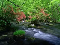 Oirase Guest House Keigetsu Hotels in Towada