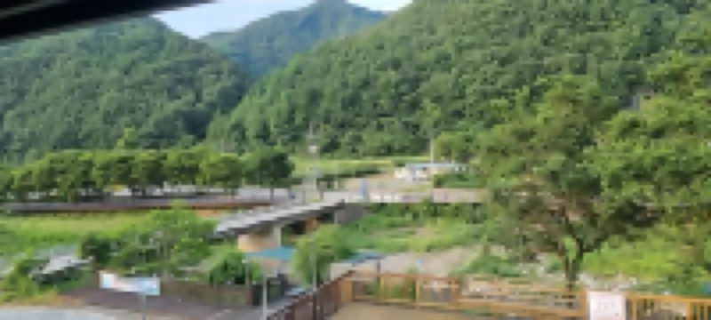 尋找花之染料旅館