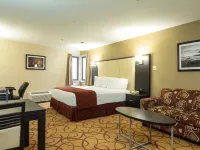 Sinbads Hotel & Suites Hotels in Gander