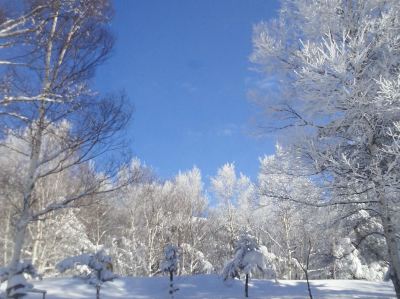 ホテル周辺 時空の杜の写真