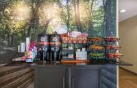 Extended Stay America Suites - Atlanta - Northlake Hotels in DeKalb County