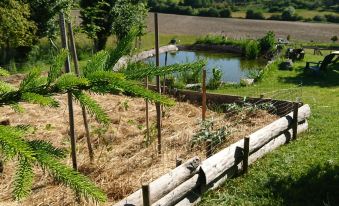 Comfortable Quiet House in the Countryside Porte-Du-Quercy for 8 People