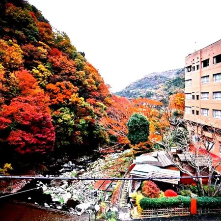Hotel Okuyumoto