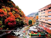 Hotel Okuyumoto - غرفة مطلة على الجبل