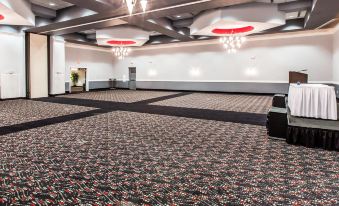 Quality Inn & Suites Conference Center Statesboro Historic District
