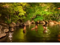 Garden Hotel Olive - Hot Springs