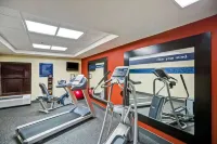 Hampton Inn Albany-Wolf Road (Airport) - Gym