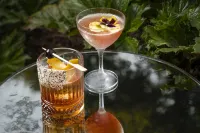 The Steward, Santa Barbara, a Tribute Portfolio Hotel - bar