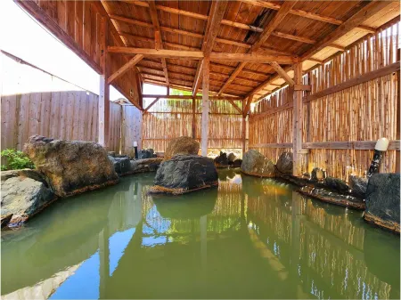 Oganeonsen Grand Hotel Отели в г. Сакура