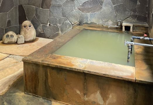 [로지 키스프링 야쓰가타케 주변의 아름다운 풍경]