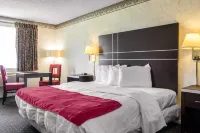أوشانسايد لودج