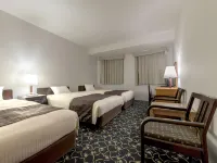 Premier Hotel-Cabin-Sapporo - Hot Springs