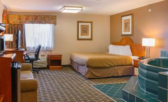 Quality Inn & Suites Detroit Metro Airport